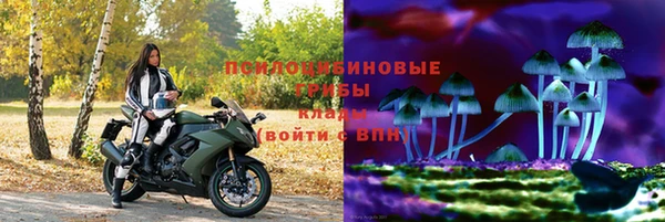 мдпв Коряжма