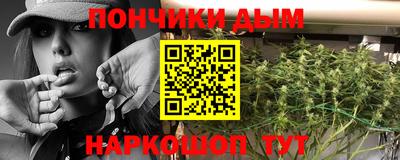 сатива Заволжье