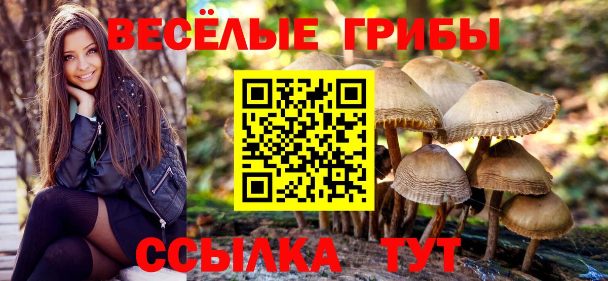 Псилоцибиновые грибы Magic Shrooms  Вход с VPN  Нижнеудинск  Галлюциногенные грибы Magic Shrooms 