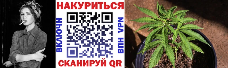 Бошки марихуана тримм  Нижнеудинск 